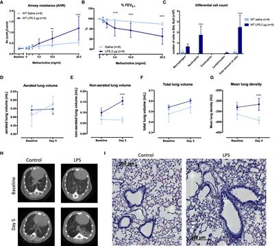 Innate Lymphoid Cells Are Required to Induce Airway Hyperreactivity in a Murine Neutrophilic Asthma Model